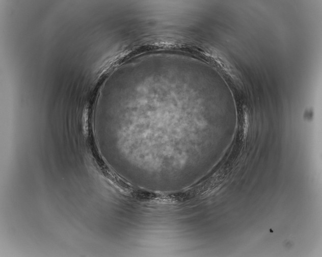 X0000089970696200707271921