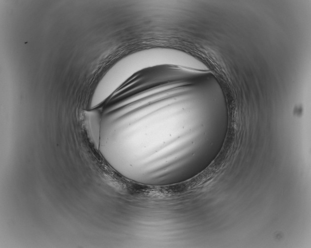 X0000089970697200707271921