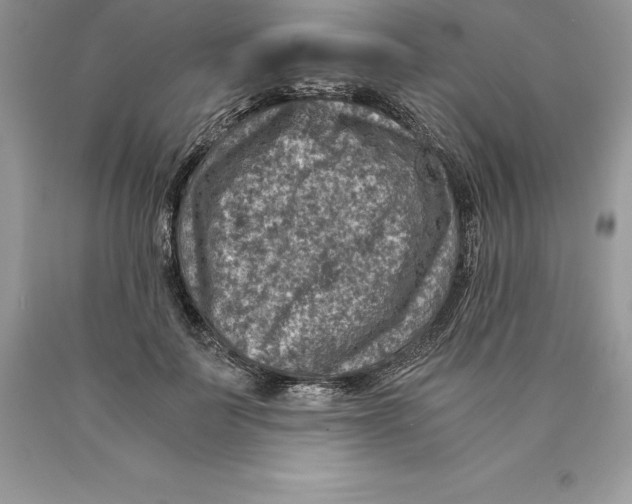 X0000089970699200707271921