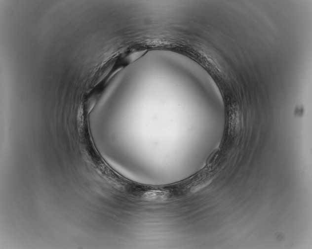 X0000089970700200707271921