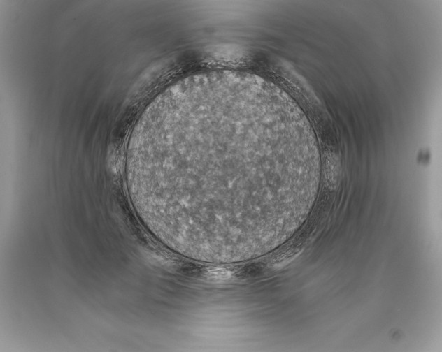 X0000089970701200707271921