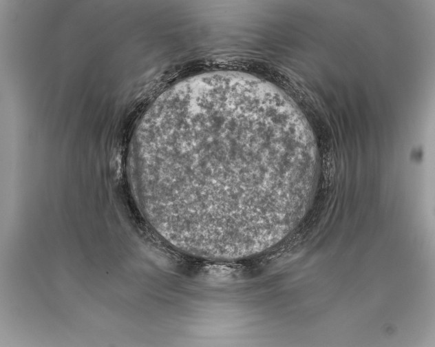 X0000089970703200707271921