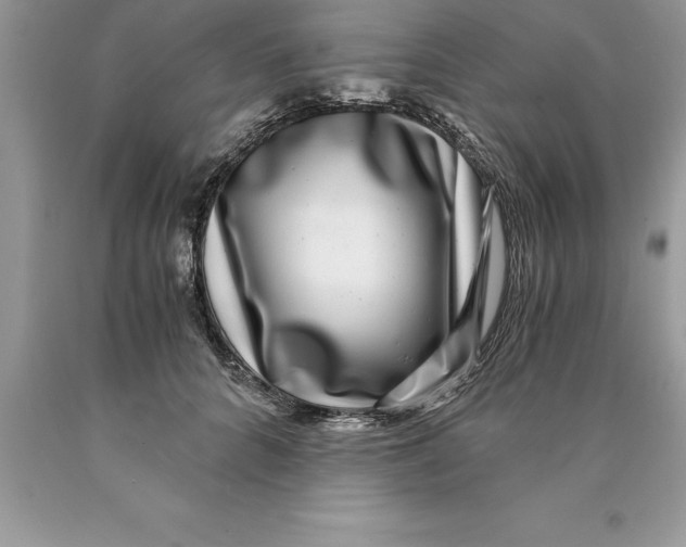 X0000089970704200707271921