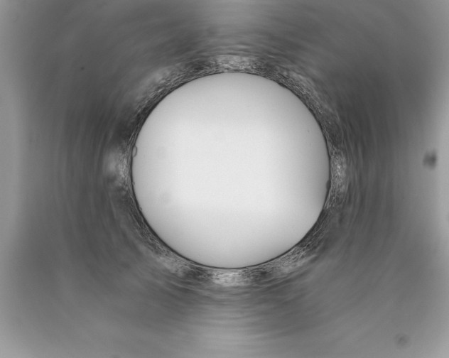 X0000089970705200707271921