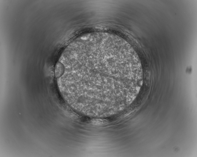 X0000089970707200707271921