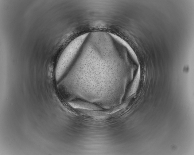 X0000089970708200707271921