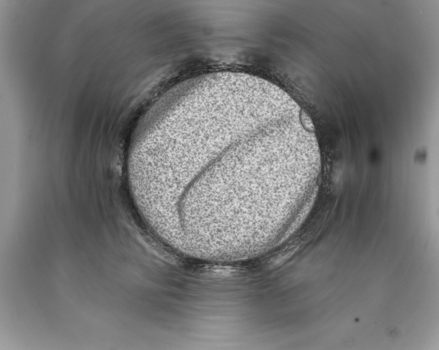 X0000089970710200707271921