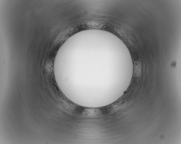 X0000089970713200707271921