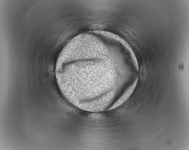 X0000089970714200707271921