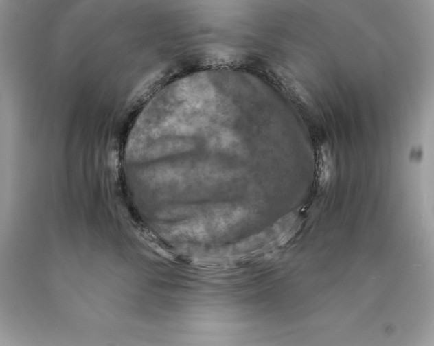 X0000089970716200707271921