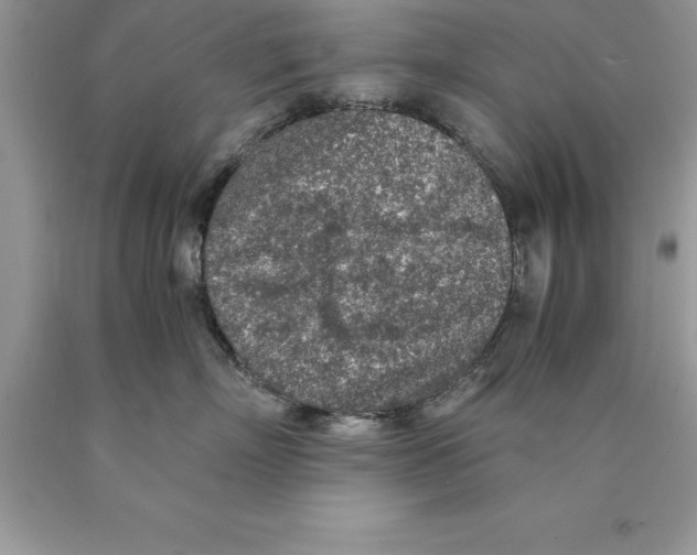 X0000089970718200707271921