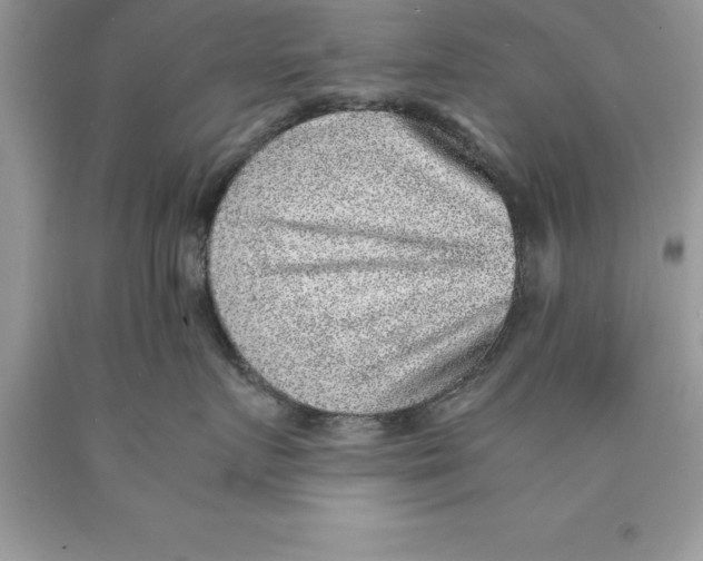 X0000089970719200707271921