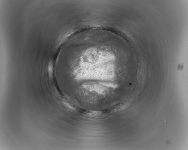 X0000089970720200707271921