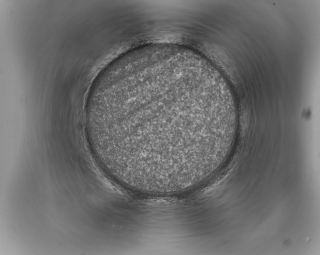 X0000089970721200707271921