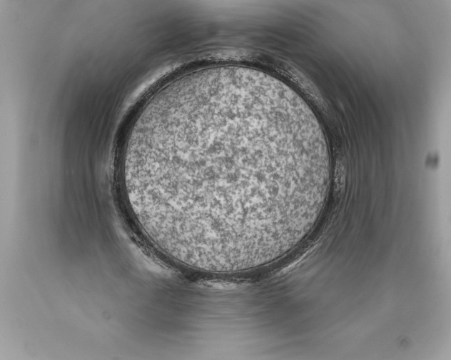 X0000089970722200707271921