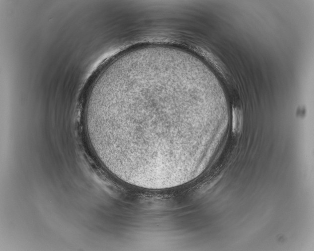 X0000089970723200707271921