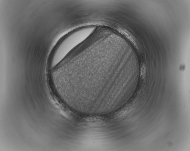 X0000089970724200707271921