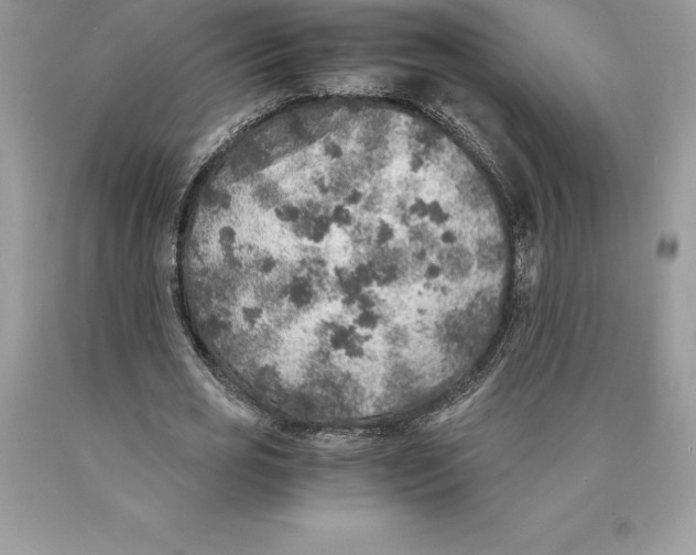 X0000089970725200707271921