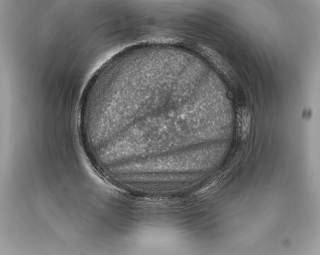 X0000089970726200707271921