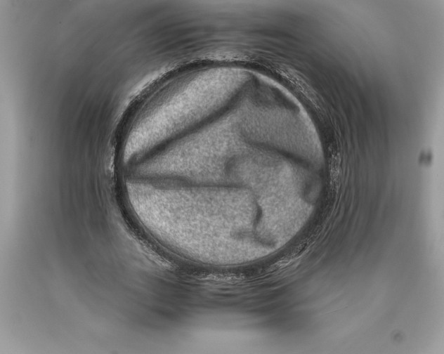 X0000089970727200707271921