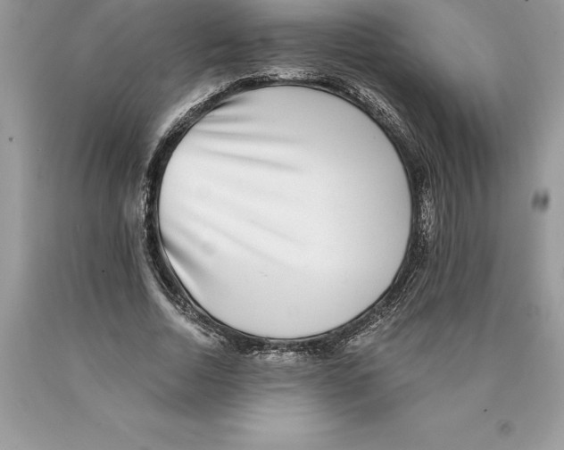 X0000089970730200707271921