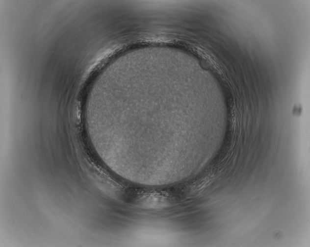 X0000089970731200707271921