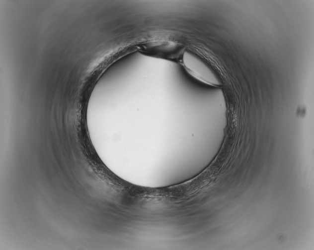 X0000089970732200707271921