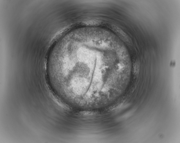 X0000089970733200707271921