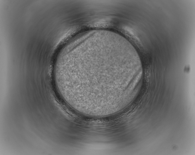 X0000089970735200707271921