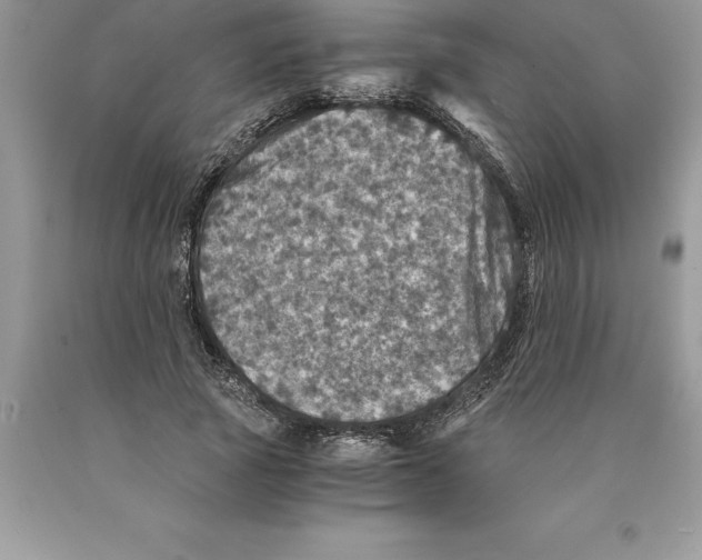 X0000089970737200707271921