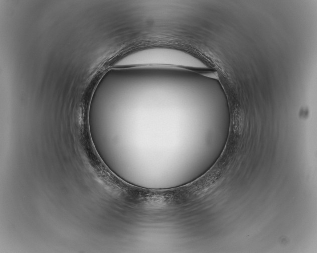 X0000089970740200707271921