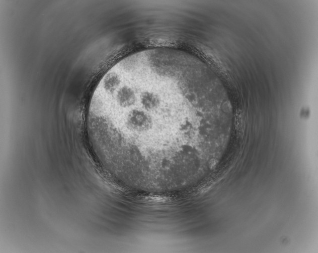 X0000089970741200707271921