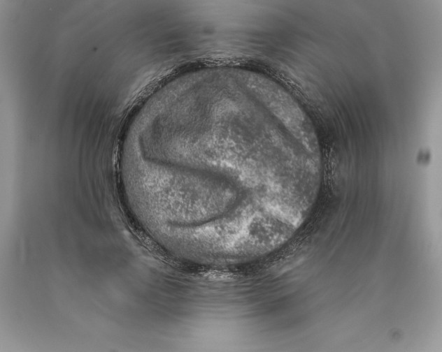 X0000089970742200707271921