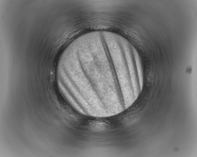 X0000089970743200707271921