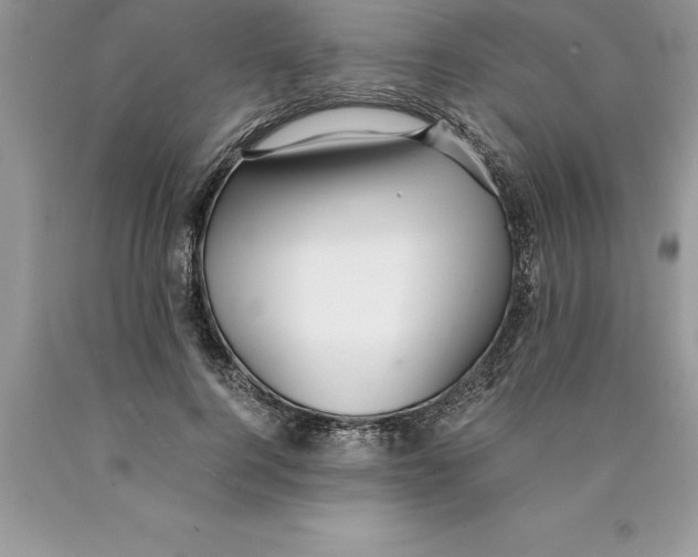 X0000089970744200707271921