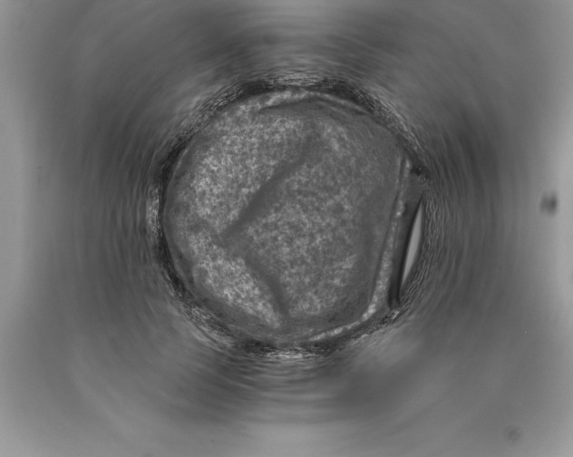 X0000089970745200707271921