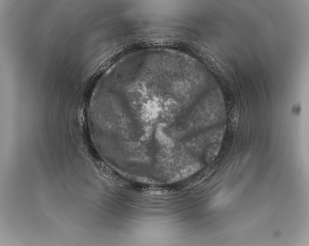 X0000089970746200707271921