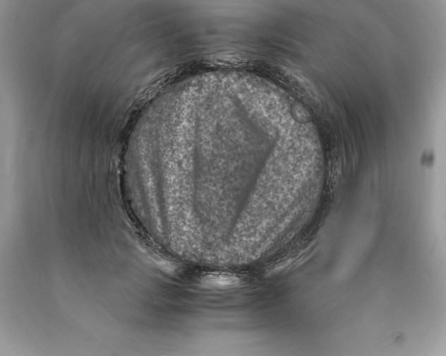 X0000089970749200707271921