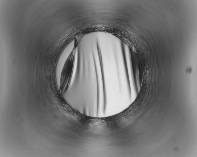 X0000089970750200707271921