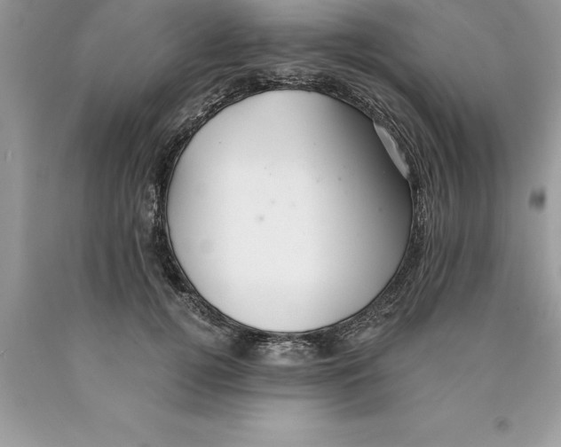 X0000089970752200707271921