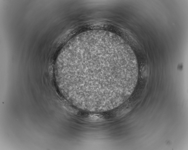 X0000089970753200707271921