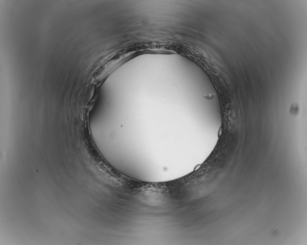 X0000089970756200707271921