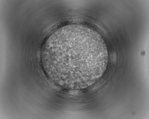 X0000089970757200707271921