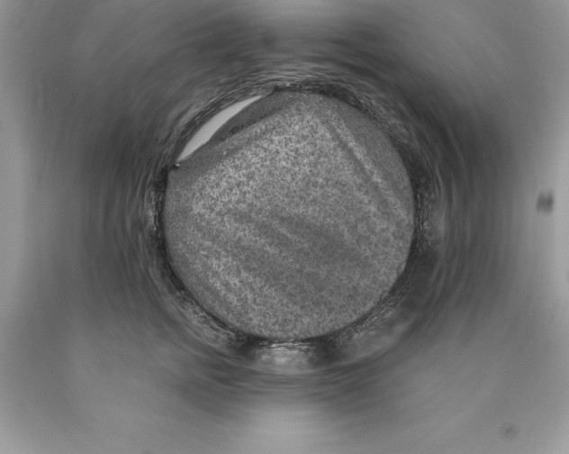 X0000089970758200707271921