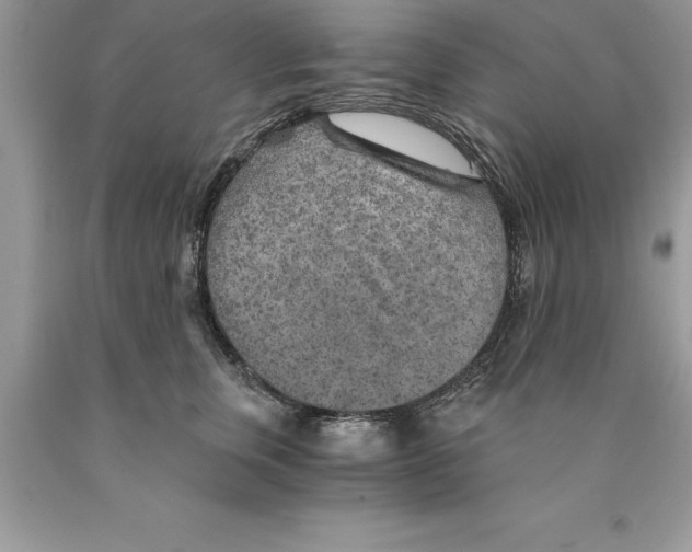 X0000089970759200707271921