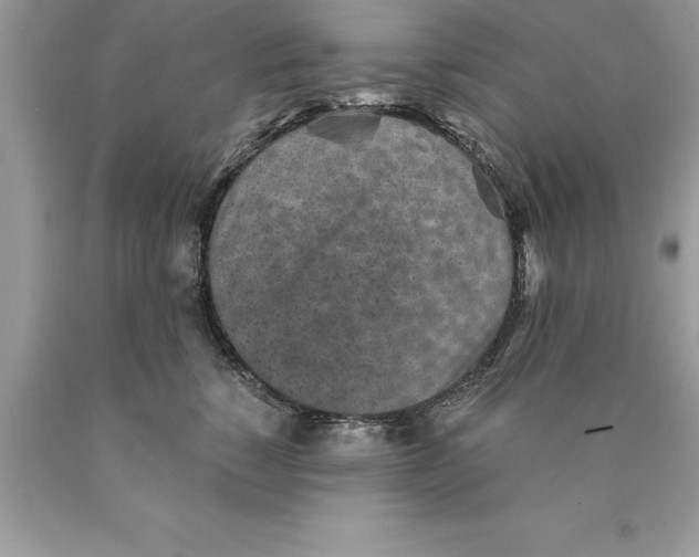 X0000089970760200707271921