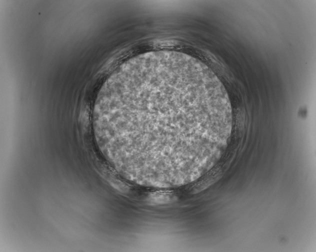 X0000089970761200707271921