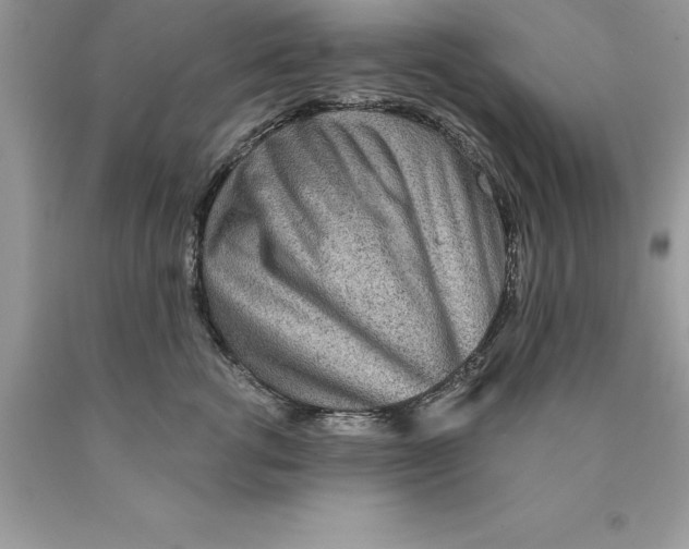 X0000089970762200707271921