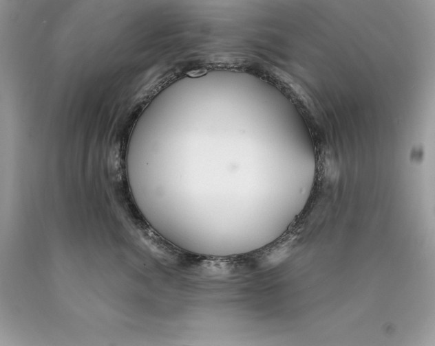 X0000089970764200707271921