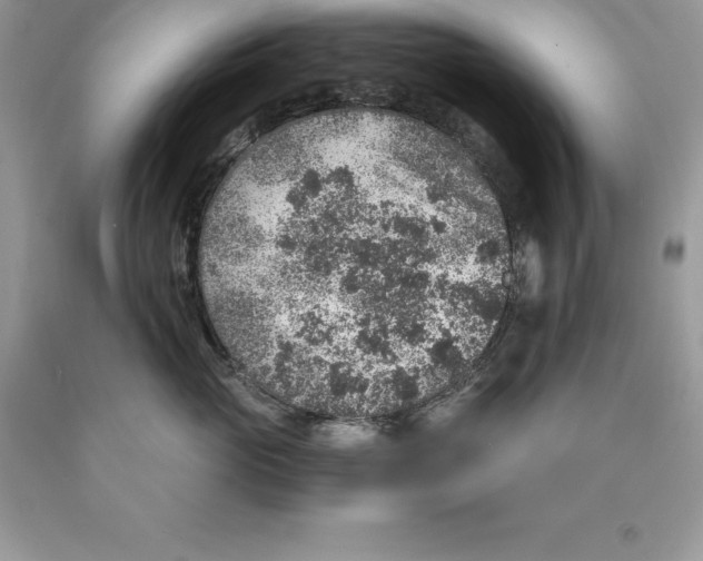 X0000089970765200707271921